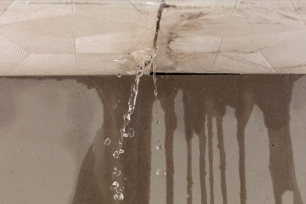 Professional Water Extraction technician working in Palatine Bridge, NY